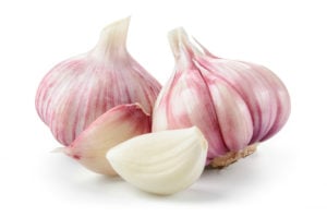garlic2