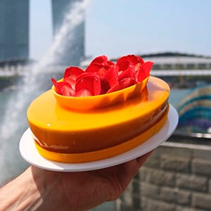 jordi-bordas-oval-entremet