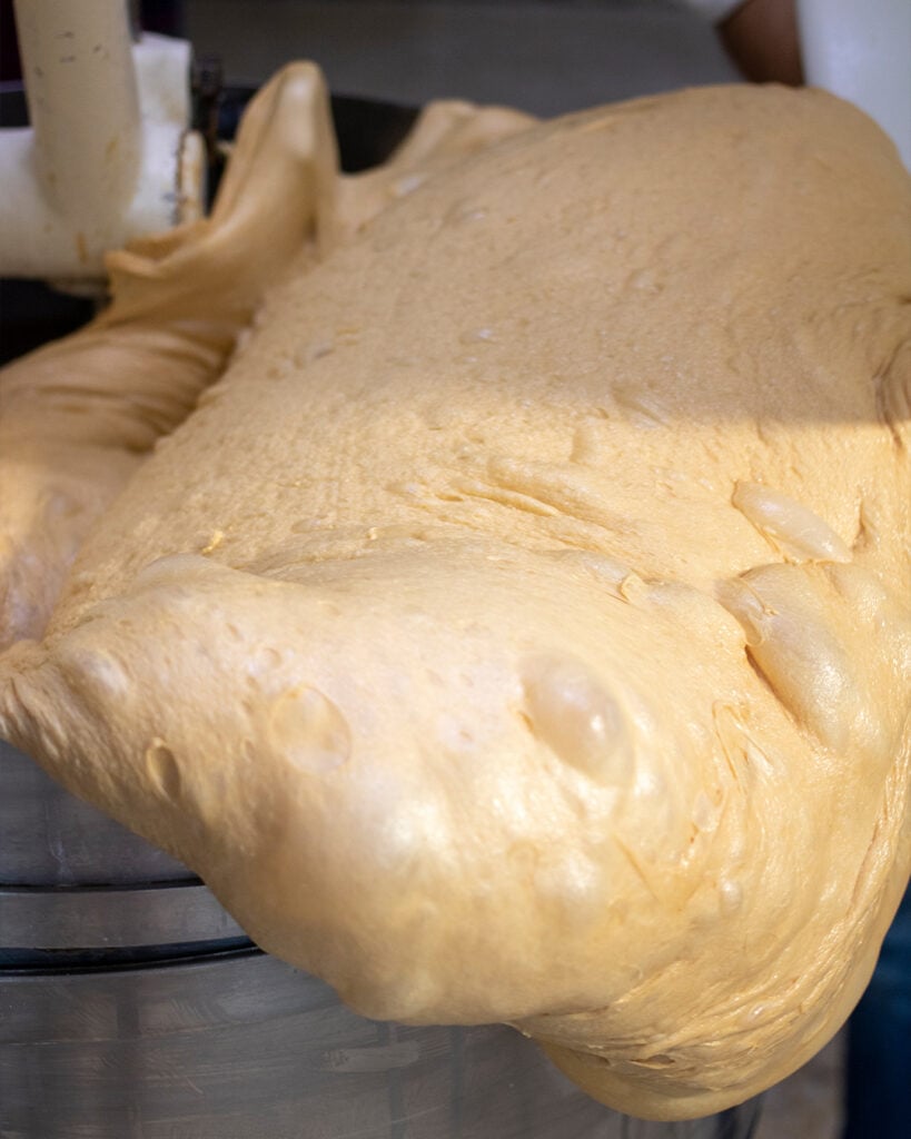 Panettone-primer-empaste