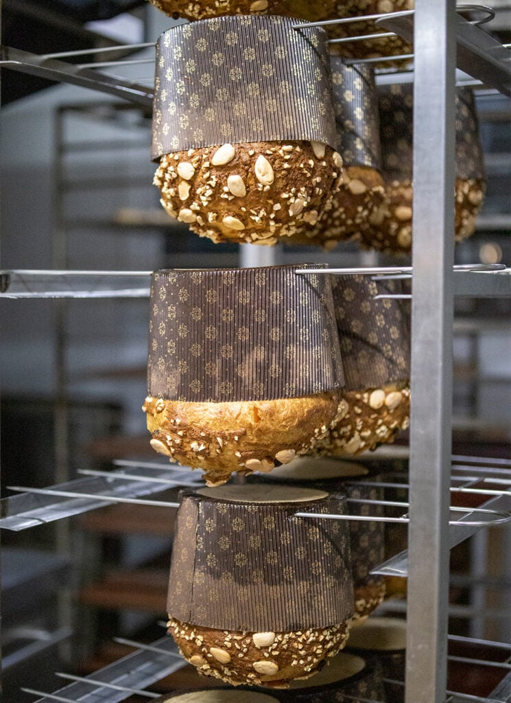 panettone-boca-abajo